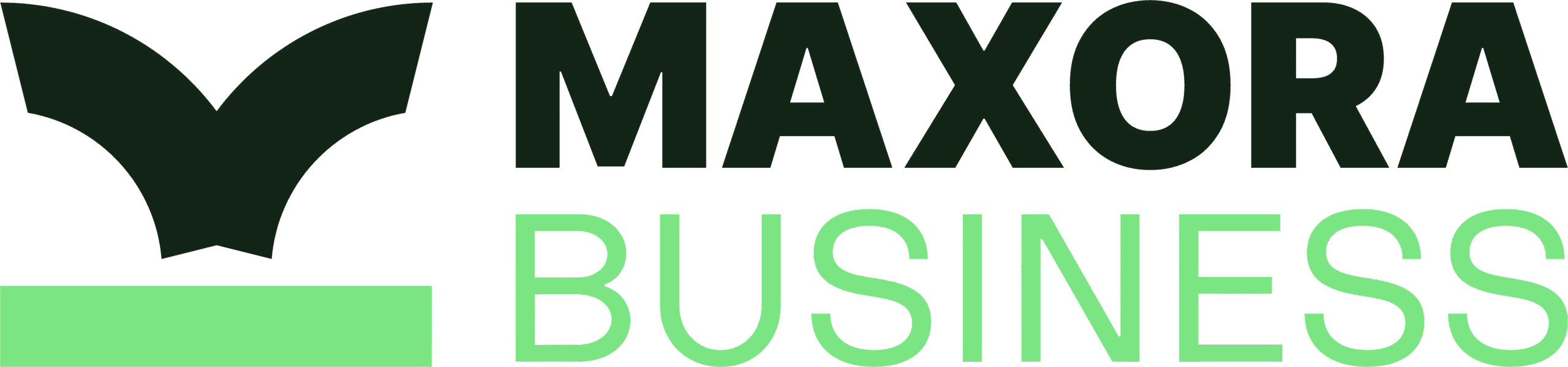 Maxora Business